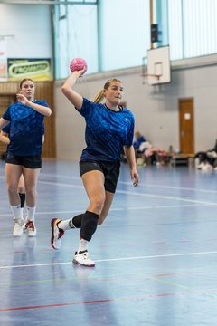 Bild 118 - F HSG Kremperheide/Muensterdorf - HSG Holstein Kiel/Kronshagen : Ergebnis: 31:26
